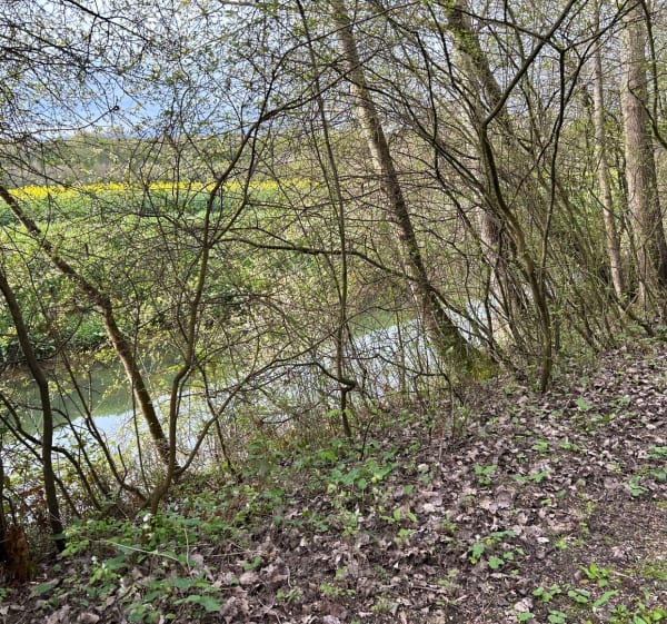La Motte au Bois 13 kilomètres - Morbecque - 1