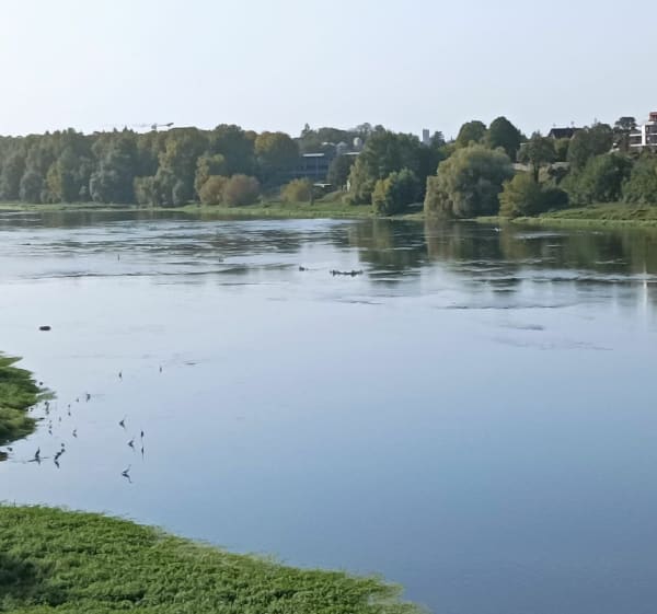 Promenade dans la campagne de la Chapelle Saint Mesmin - Saint-Ay - 1