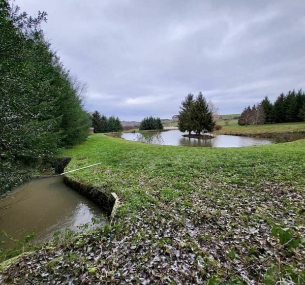 De Barizey à Saint-Hélène par la prairie - Barizey - 1