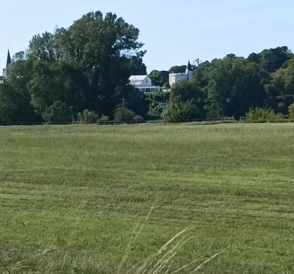 Promenade dans la campagne de la Chapelle Saint Mesmin - Nelly - 1
