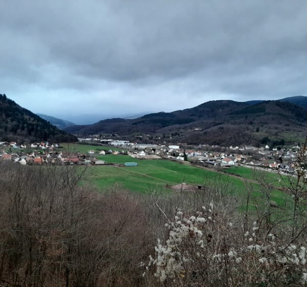 Boucle autour de Munster - Wihr-au-Val - 1