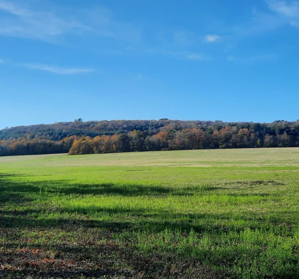 Randonnée à travers bois de Marsannay-la-Côte - Marsannay-la-Côte - 1