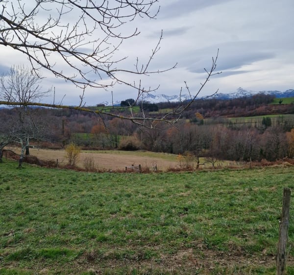 De Cieutat à Montignac - Cieutat - 1