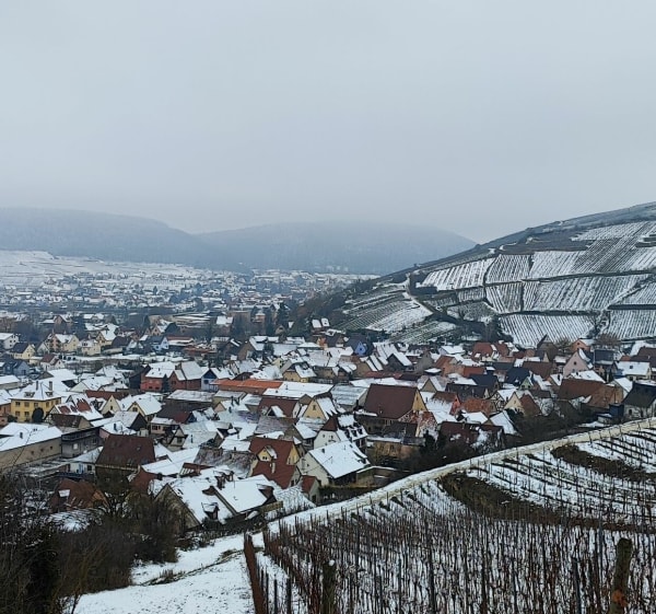 Balade a Vesthalten, par la Chapelle Oelberg - Westhalten - 1