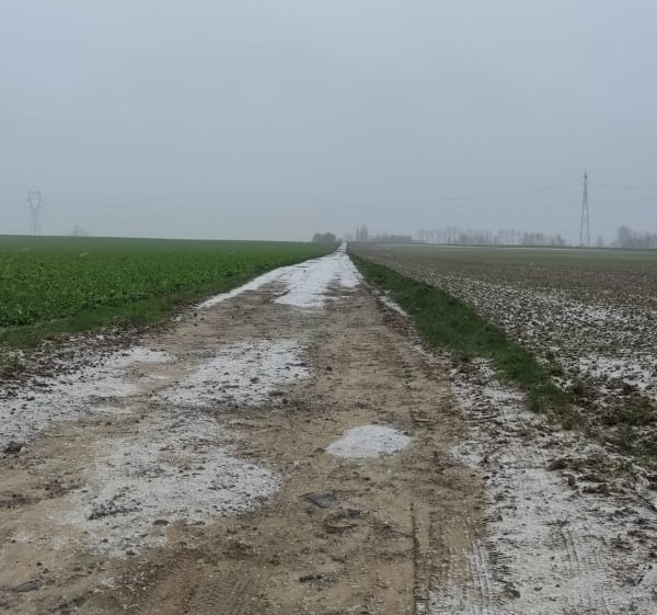 Balade en campagne d'Hazebrouck, par Borre et Driehoeck - Hazebrouck - 1