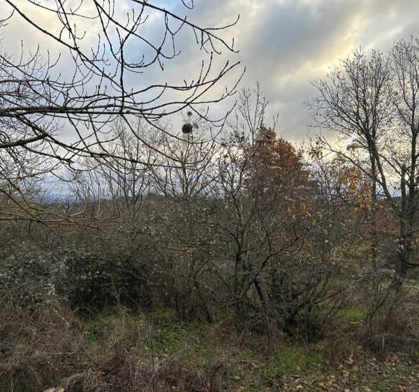 Balade au Col de Malval - Saint-Pierre-la-Palud - 1