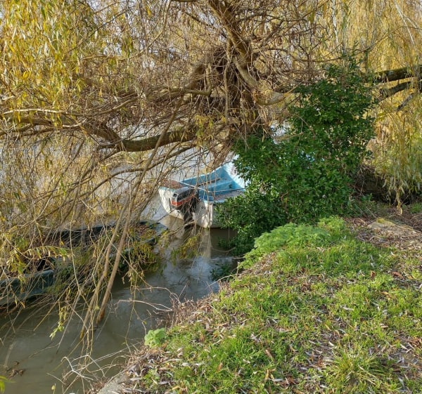 Bords de Marne et ses îles à Saint-Maur - Saint-Maur-des-Fossés - 1