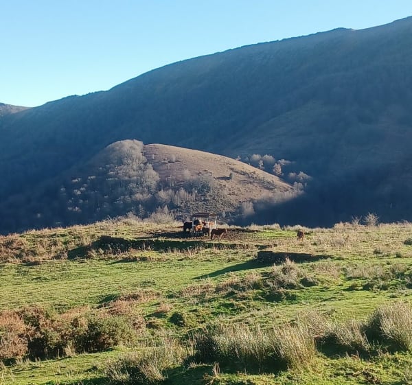 Boucle Itxassou - Col des Veaux - Gorramendi. - Itxassou - 1
