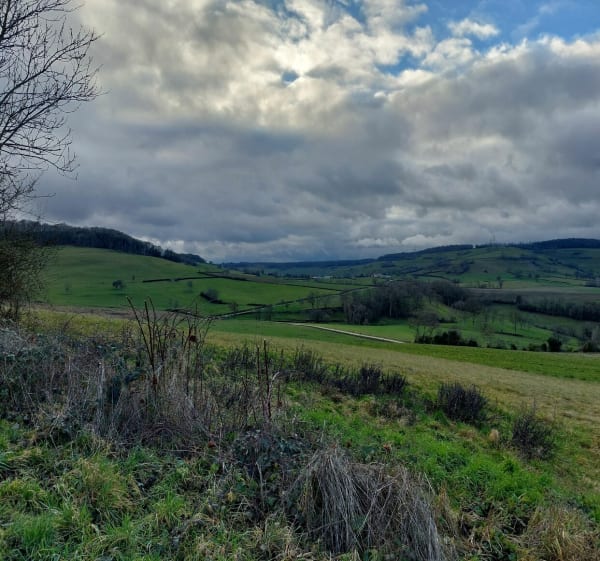 Sur les hauteurs de grenant les Sombernon - Grenant-lès-Sombernon - 1