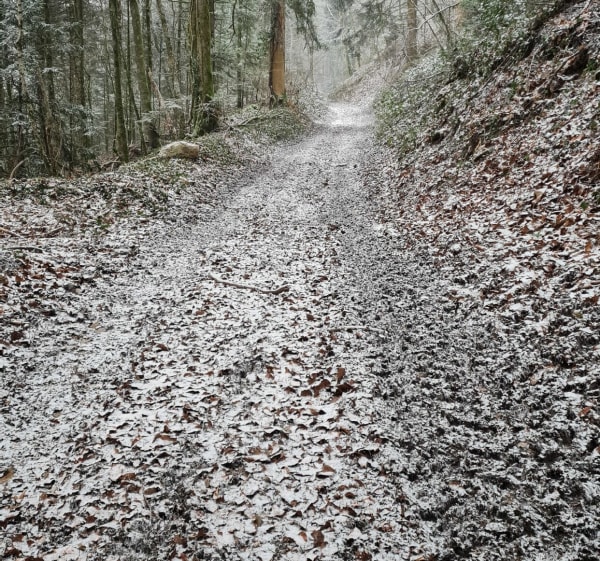 Montée du Bénédegand à Ney - Ney - 1