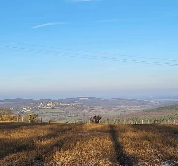 Rando par le Mont Abon - Saint-Mard-de-Vaux - 1