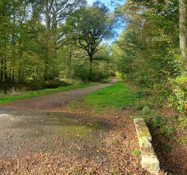 Balade champêtre entre Savigny bourg et plessis la Forêt - Savigny-le-Temple - 1