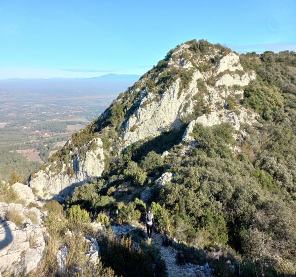 Le Versant Sud du Plateau de la Caume, crête des alpilles - Saint-Rémy-de-Provence - 1