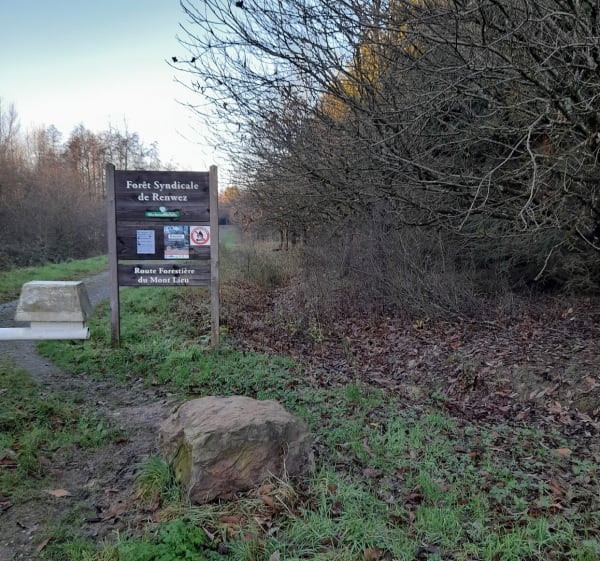 Bois de Renwez vers Witaker - Renwez - 1
