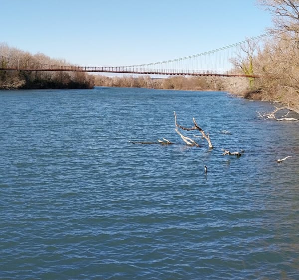 De part et d'autre du Rhône par la vélo passerelle à Sorgues - Sorgues - 1