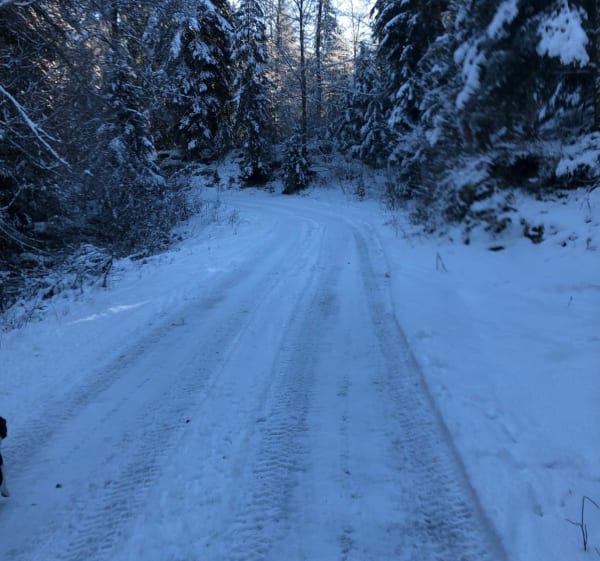 Balade de la Tanne, par la forêt de la Joux Derrière - La Chaumusse - 1