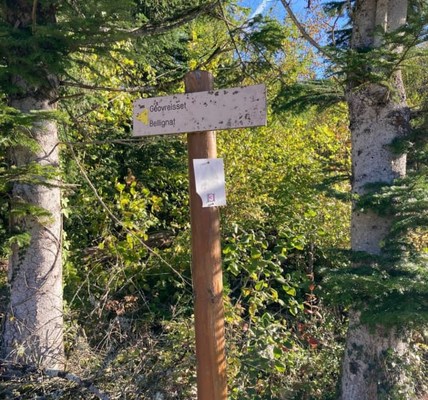 Balade entre Géovreisset et Samognat - Géovreisset - 1