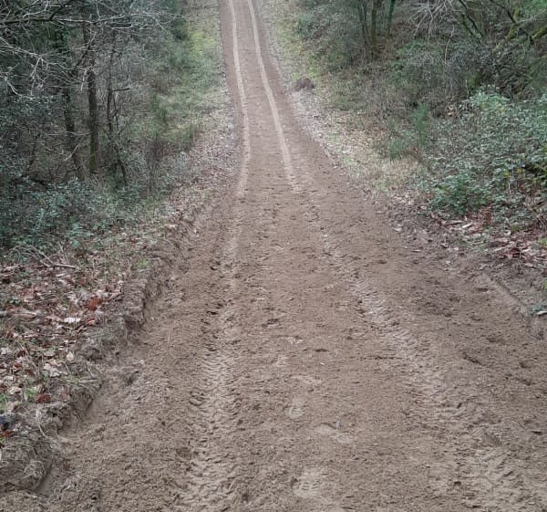 Balade  en forêt  à Ronce-les-Bains 17 - La Tremblade - 1