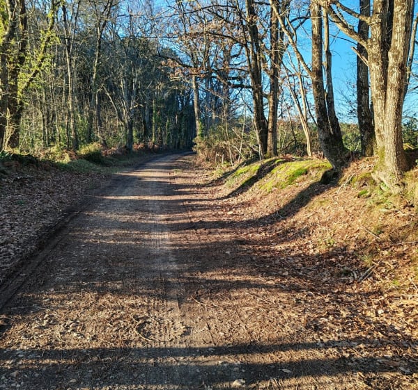 Balade sous les bois à Sarcé - Sarcé - 1