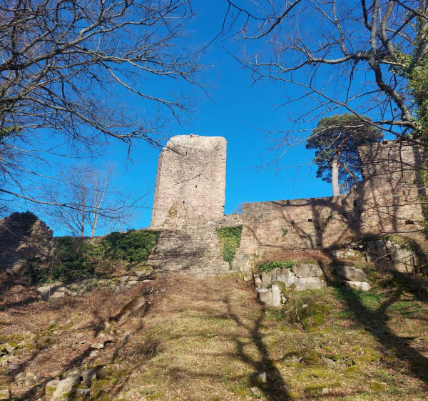 Chateau du Landsberd de Holzplatz - Barr - 1