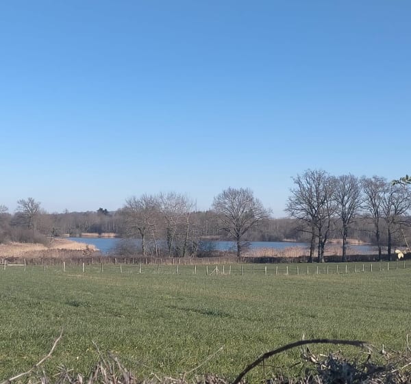 Balade le long du lac de la Sorme - Blanzy - 1