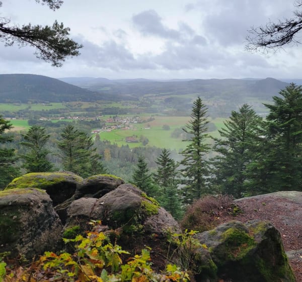 Alentours de Domfaing, par Vervezelle, Bruyères et Croix de Frésimont - Domfaing - 1