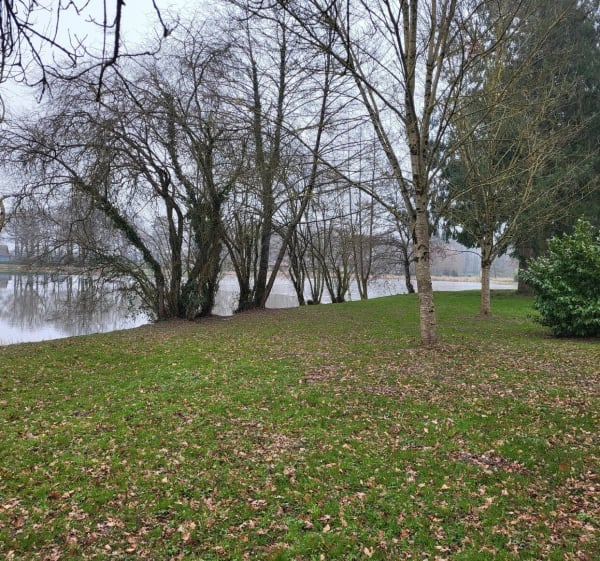 Étangs Aubigny-sur-Nère - Aubigny-sur-Nère - 1