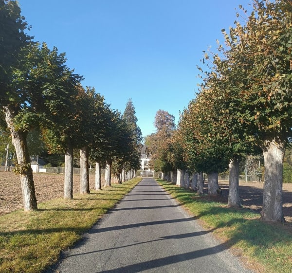 Balade à Amilly, détour par les Savoies et les Népruns - Amilly - 1