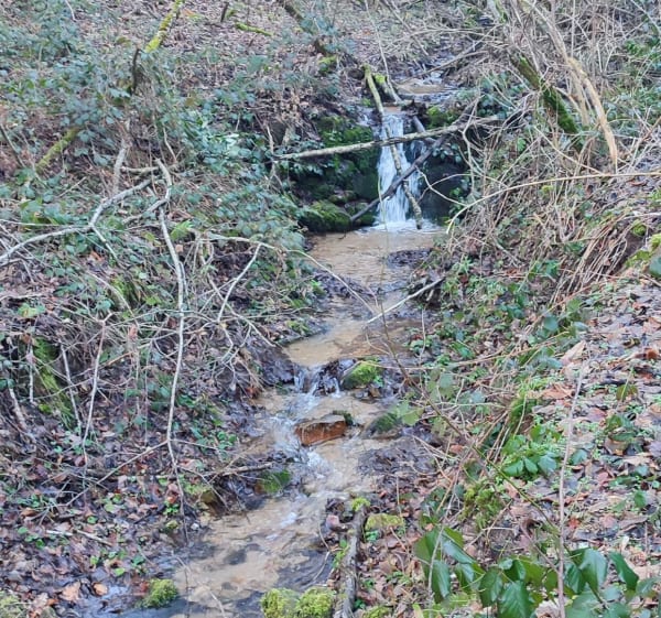 Balade ensoleillée au dessus des Condamine - Saint-Étienne - 1