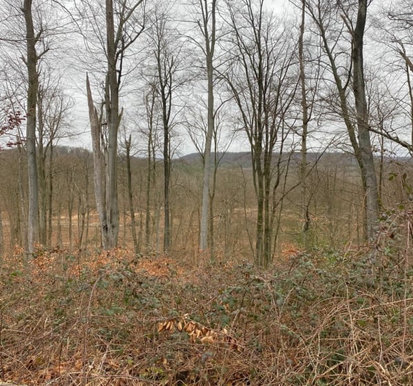 Le Mont du Voliard depuis Pierrefonds - Pierrefonds - 1