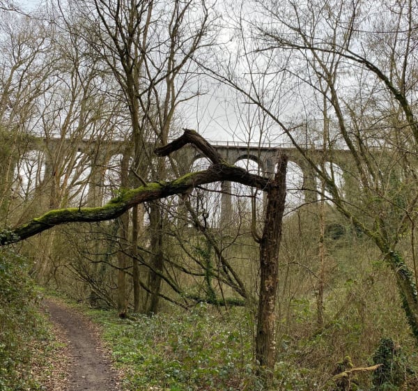 Le Viaduc de percée vue d’en bas - Plérin - 1