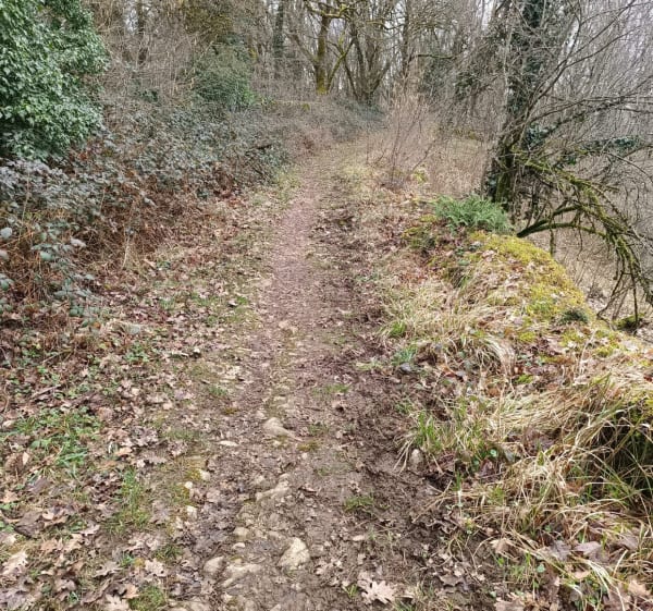 Sur les hauteurs des Montboucons - Besançon - 1