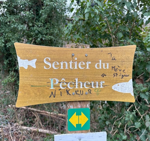 Sentier du pêcheur depuis Frangy - Frangy - 1
