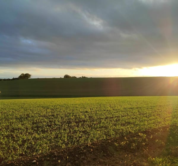 Petite balade en campagne sarthoise à Saint-Rémy-du-Val - Saint-Rémy-du-Val - 1