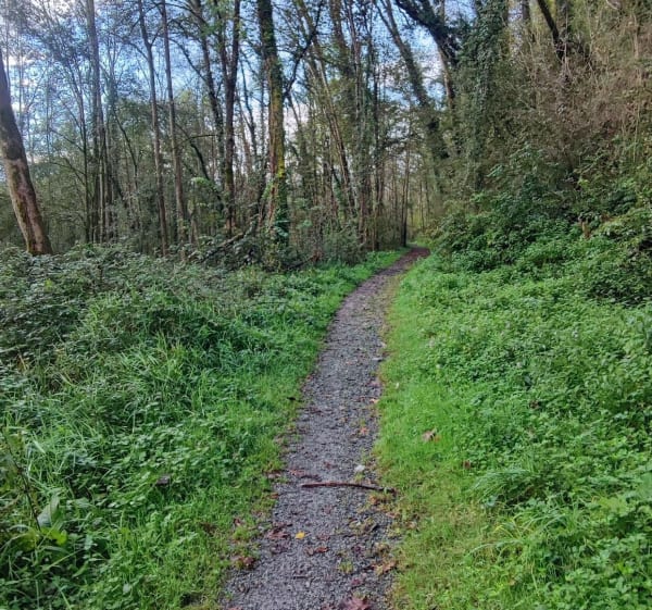 Sortie avec petite partie sur le chemin Henry IV - Nay - 1