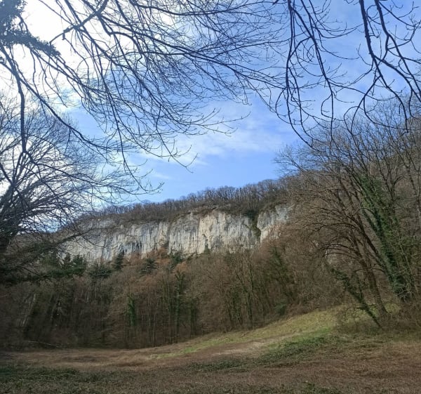 Balade aux Vouillants et sa vue panoramique sur Grenoble - Seyssinet-Pariset - 1