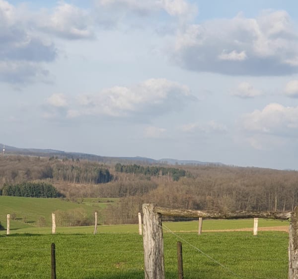 Sentier Circulaire à Mittelbuehl, par Grosser Wald - Reichshoffen - 1