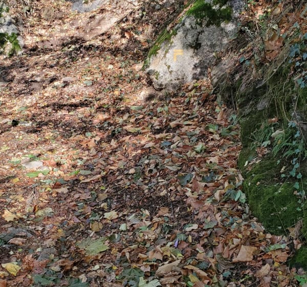 Belle montée au Refuge du Chioula - Ax-les-Thermes - 1