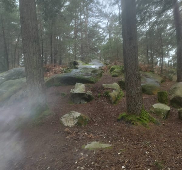 Balade en forêt de Fontainebleau - Fontainebleau - 1