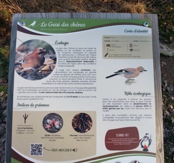 Parcours pédagogique d'Ensisheim par l'Allmend - Pulversheim - 1