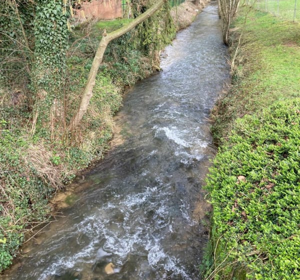 Boucle Thelonne Angecourt - Thelonne - 1