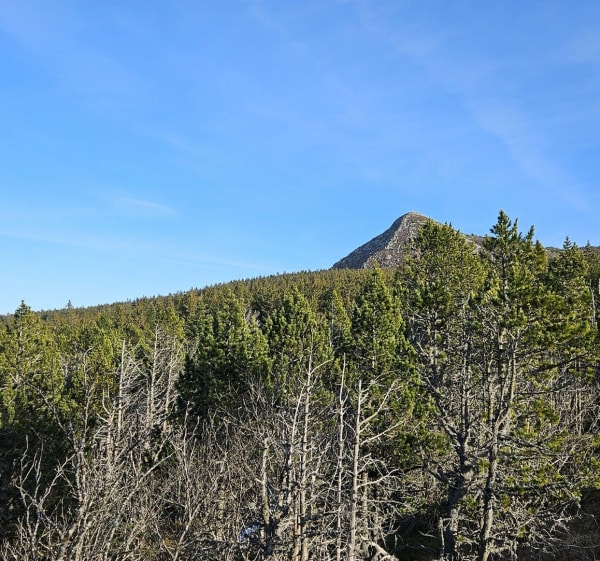 Balade cunlhatoise - Cunlhat - 1