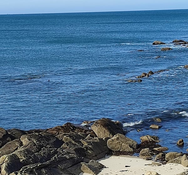 Saint-Samson par la mer - Plougasnou - 1