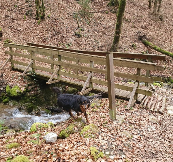 Petit tour de la Biolle - Marnaz - 1
