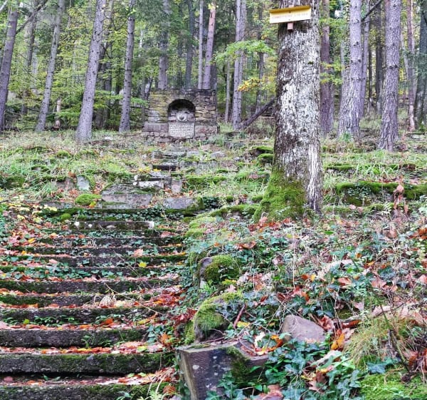 Cantine Zeller à Wattwiller - Wattwiller - 1