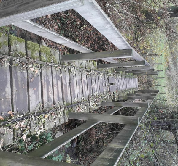 Balade dans les sous-bois de la Fouillouse - La Fouillouse - 1