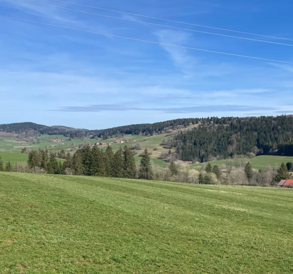 L’abbaye de Montbenoît et Bois du Cernet - Montbenoit - 1