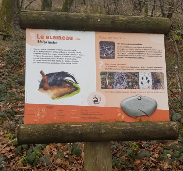 Boucle des Brûlées, par Bois du Maire - Girancourt - 1