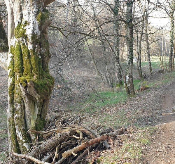 Entre route et chemins à Chevrières - Chevrières - 1