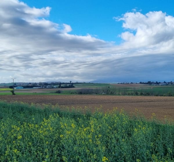 Balade depuis Saint Genis Laval - St-Genis-Laval - 1